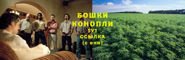 СК Надым